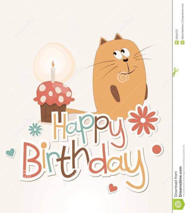 коты день рождения