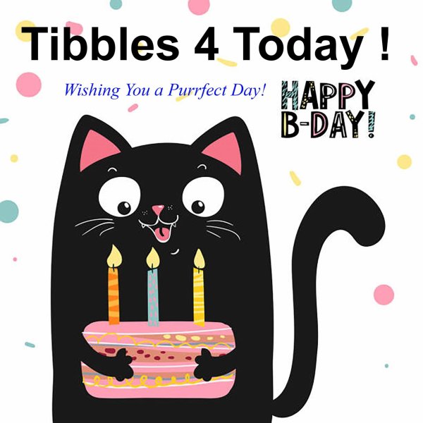 открытка с котиком на день рождения