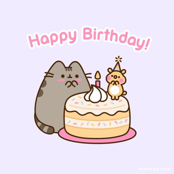 пушин кэт день рождения