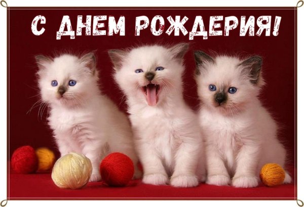 открытка ко дню рождению