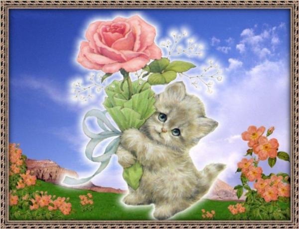 очаровательные котята