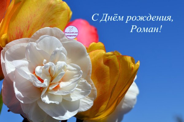 с днём рождения роман открытки красивые
