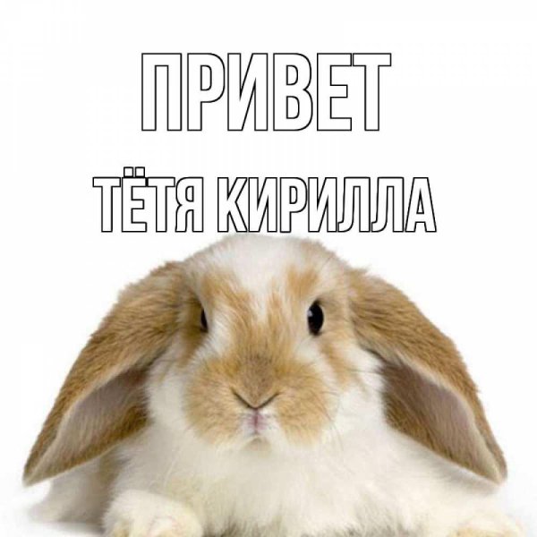 привет бабушка