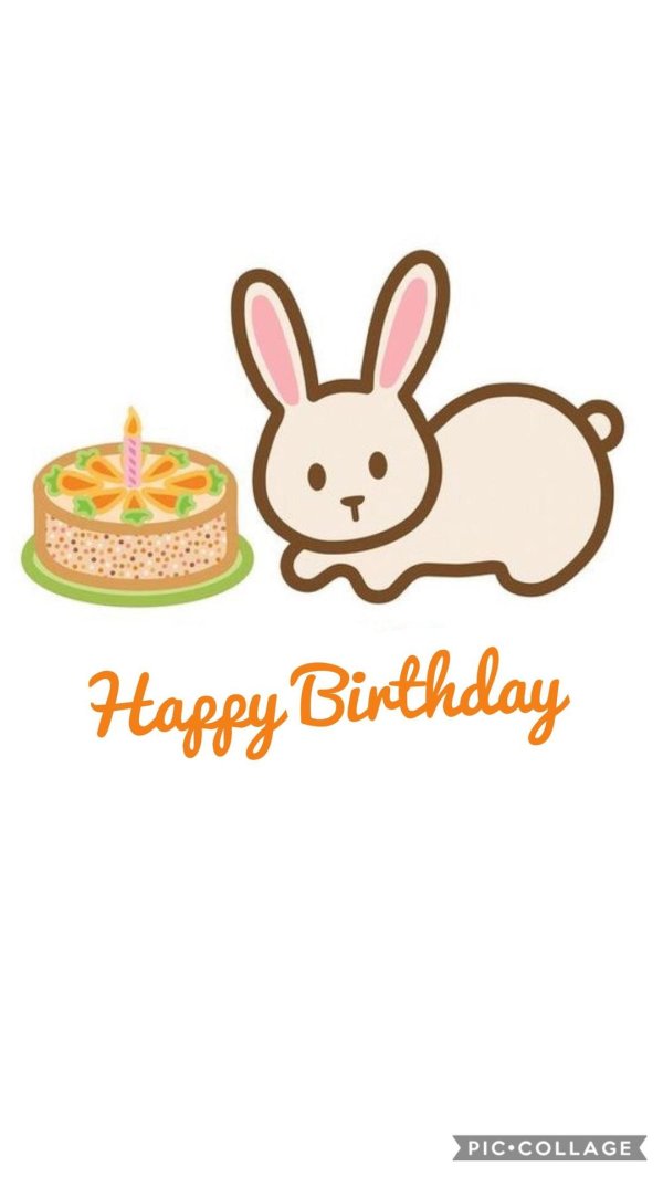 happy birthday bunny