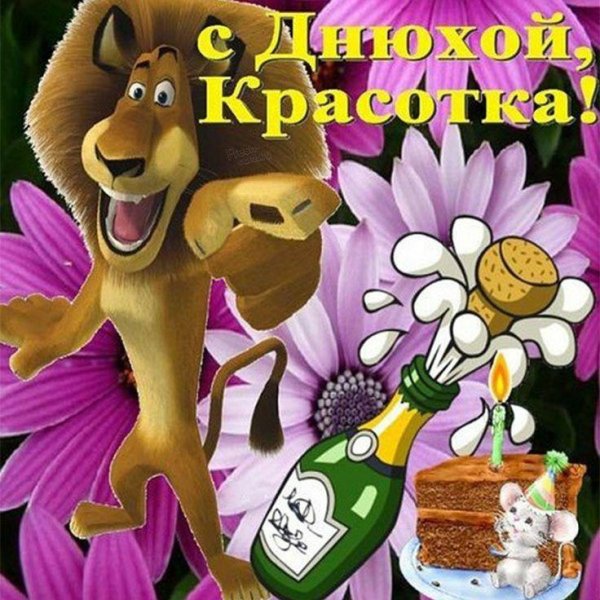 лев алекс мадагаскар