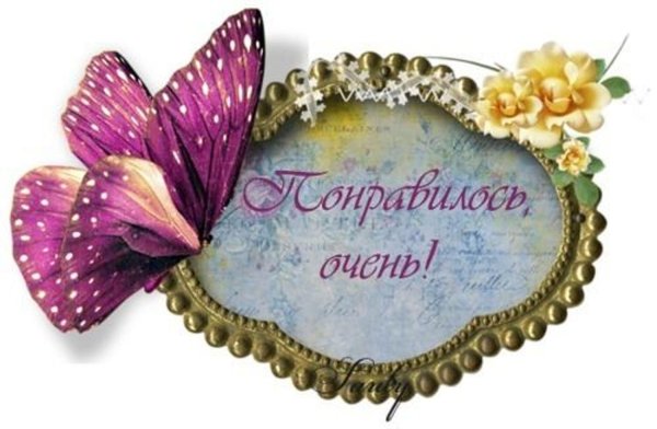 бабочка открытка