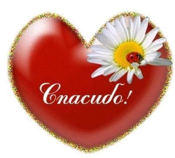 с ромашками