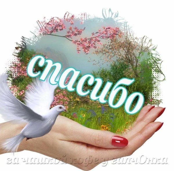 cпасибо жизнь