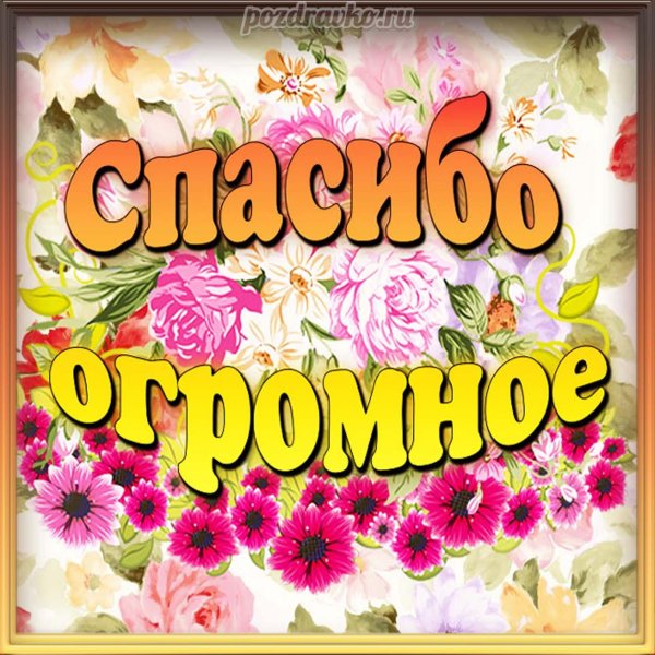 спасибо большое за поздравление