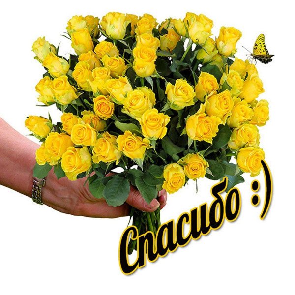 с благодарностью открытки