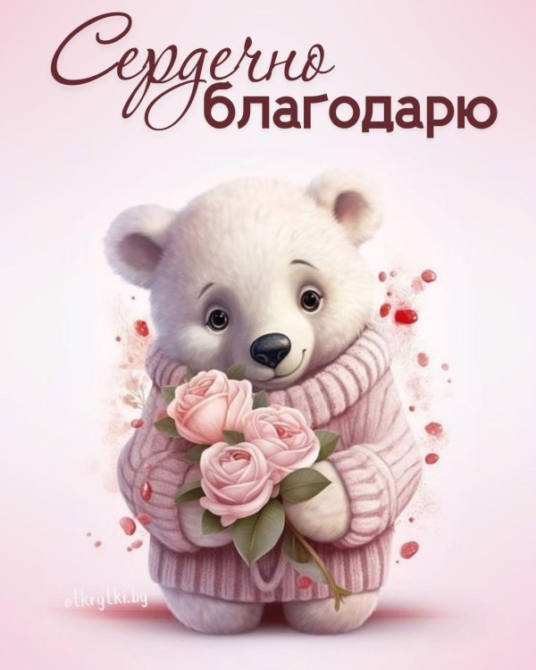 белые мишки