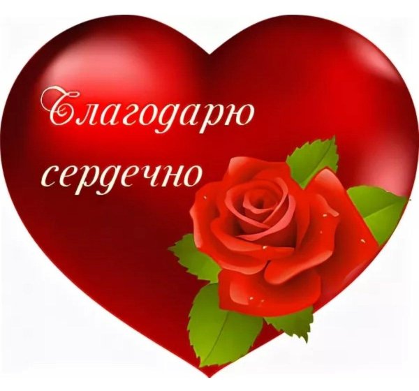 сердечно благодарю