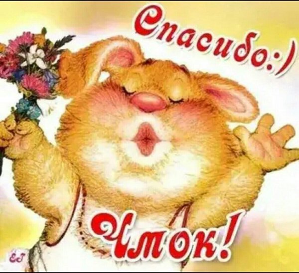 открытки спасибки