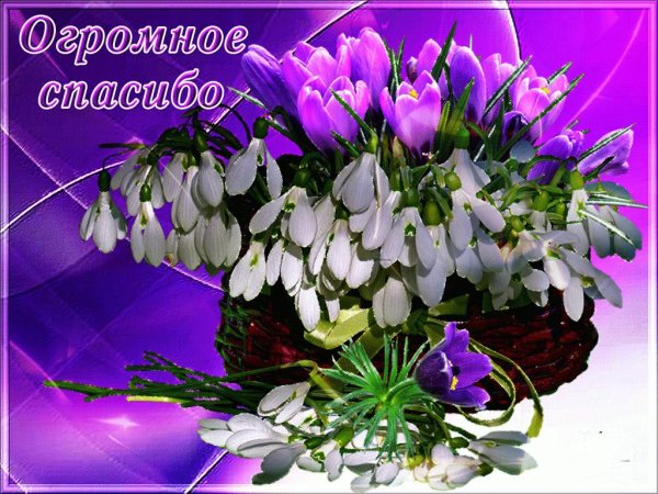 букет подснежники