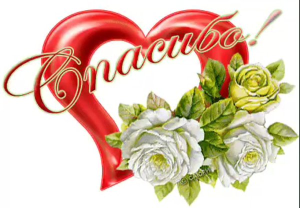 стикеры со словами благодарности