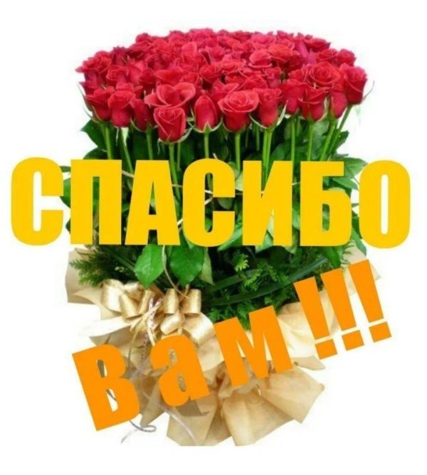 красивые цветы с благодарностью