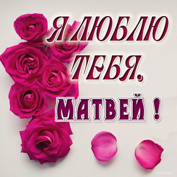 люблю матвея