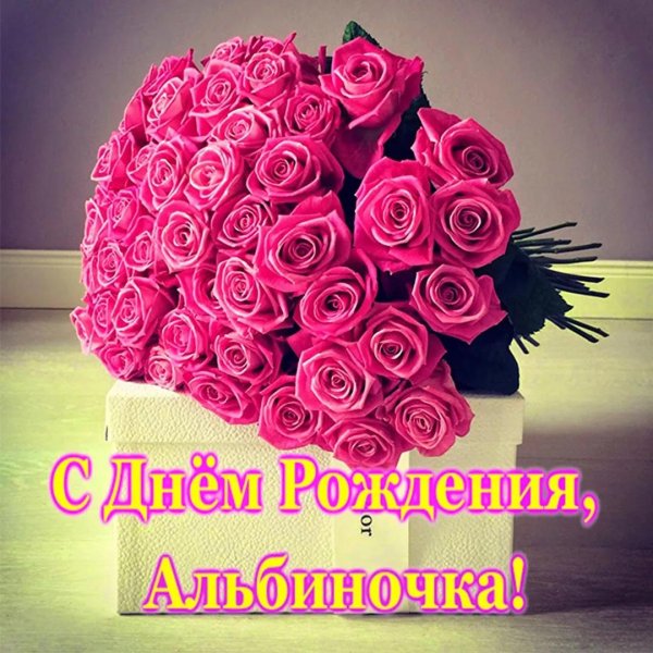 день рождения альбина