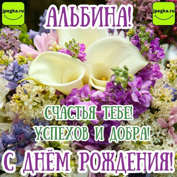 альбина с днем рождения