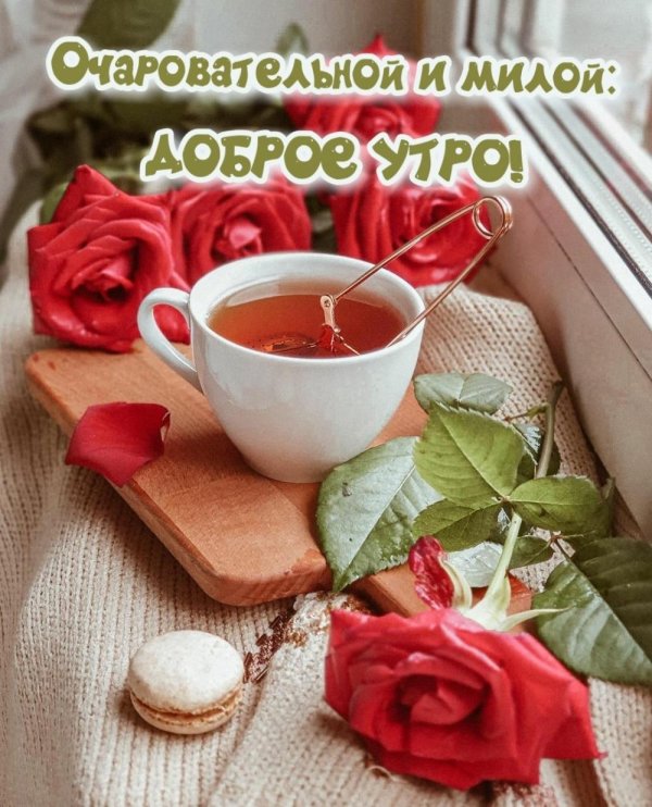 доброго утра женщине