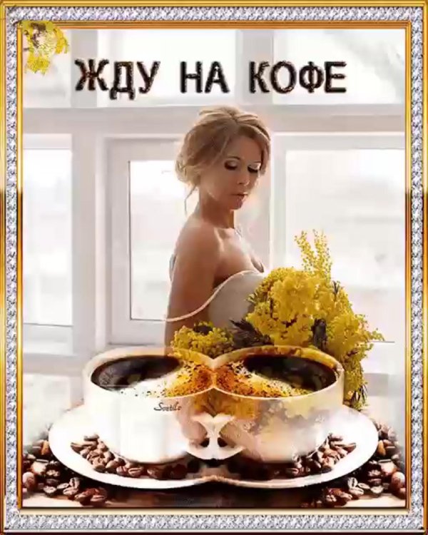 доброе утро мадам