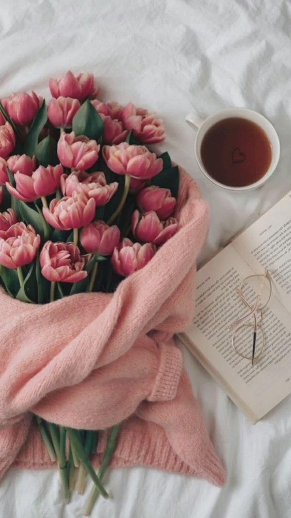 тюльпаны эстетика