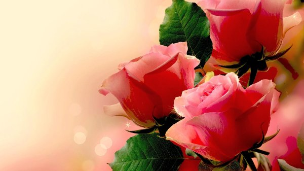 красивое поздравление