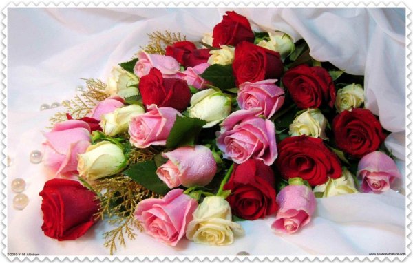 красивая букет