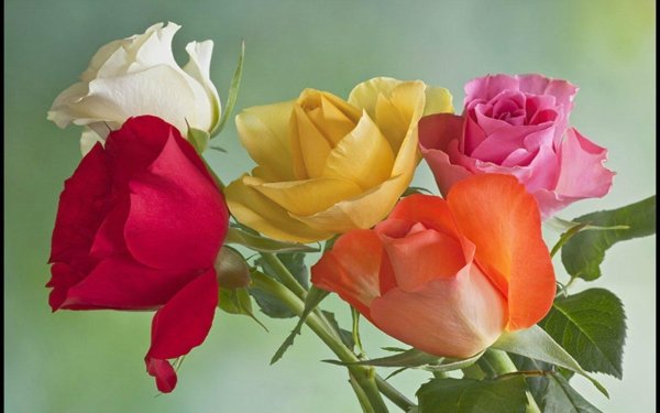 Поздравления с днем рождения лида