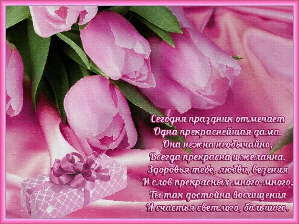 нежные тюльпаны