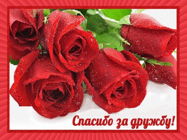 спасибо за дружбу