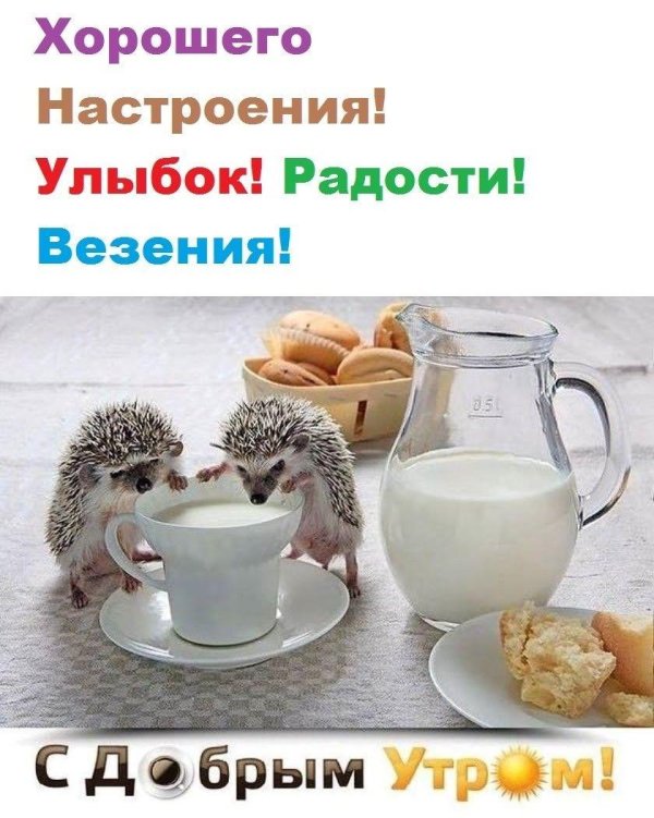 улыбка радости