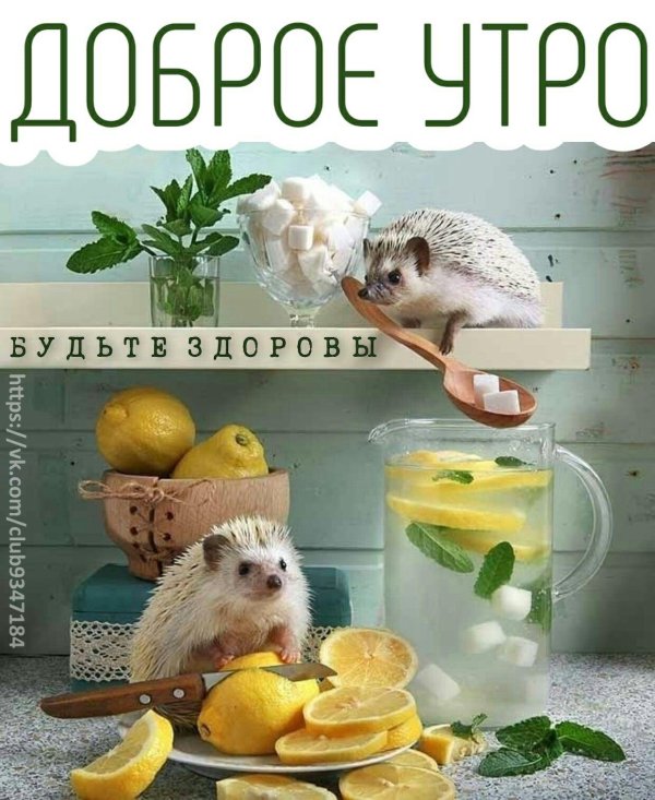 добрейшее утречко