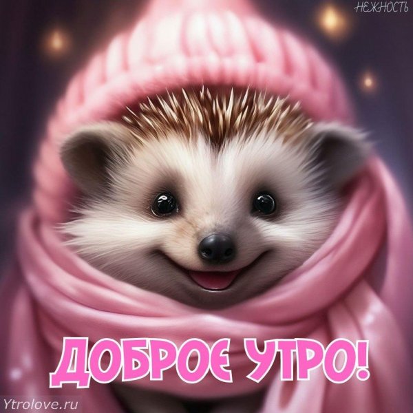 ежики смешные