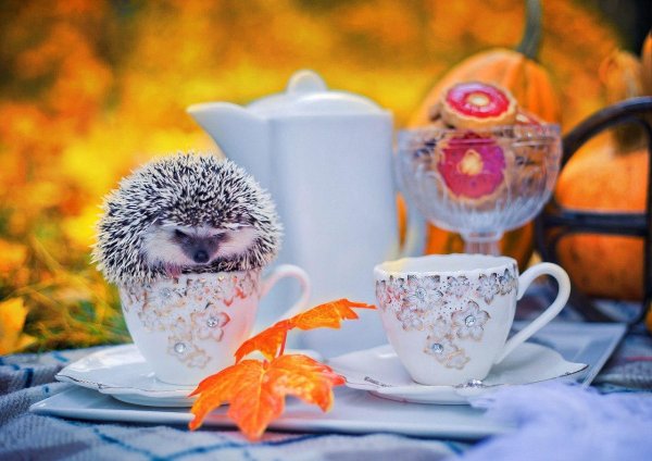 доброе утро и отличного настроения