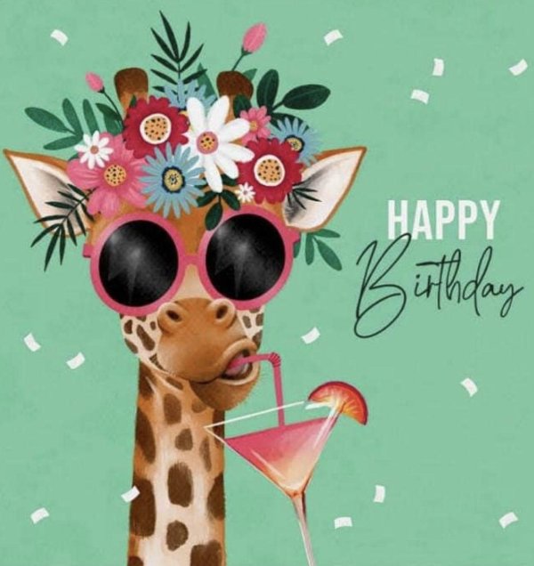 жираф в очках