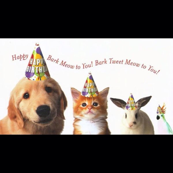 день рождения собаки поздравление