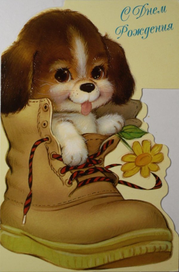 поздравительные открытки с собаками