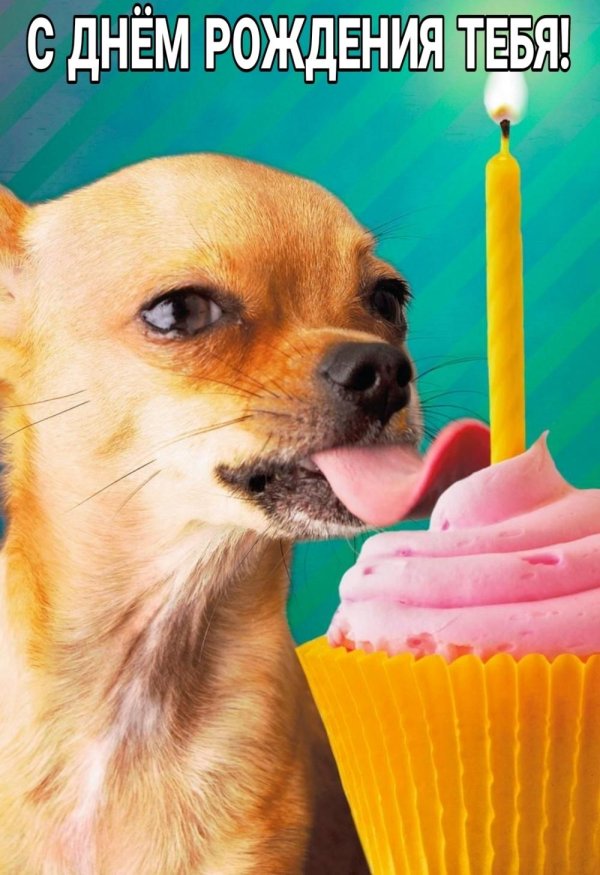 happy birthday funny