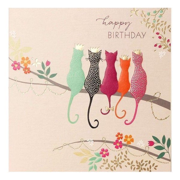 birthday card cat