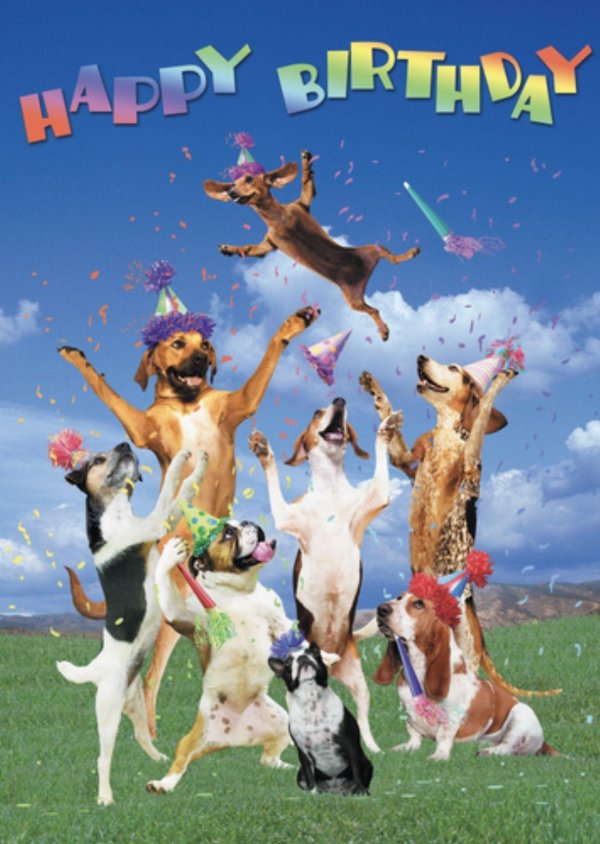 день рождения собаки поздравление