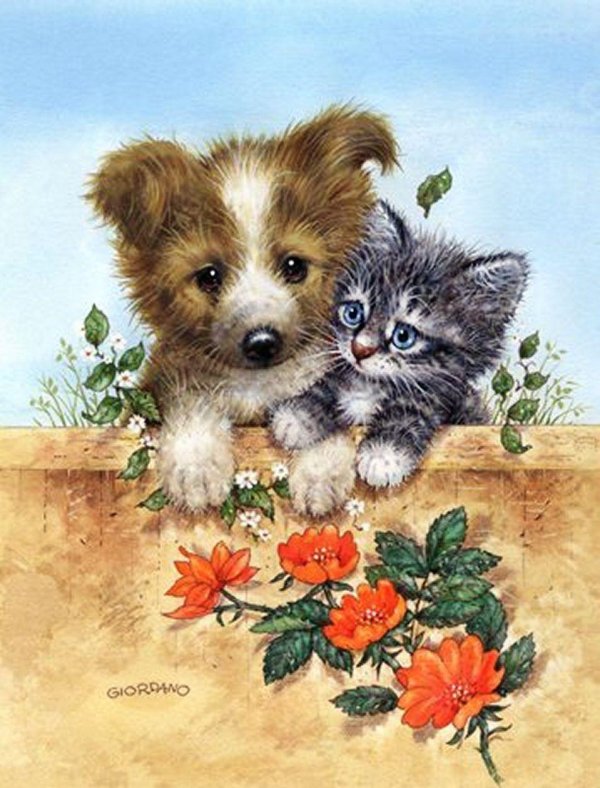 открытки животные