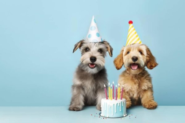 день рождение