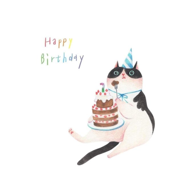 happy birthday cat