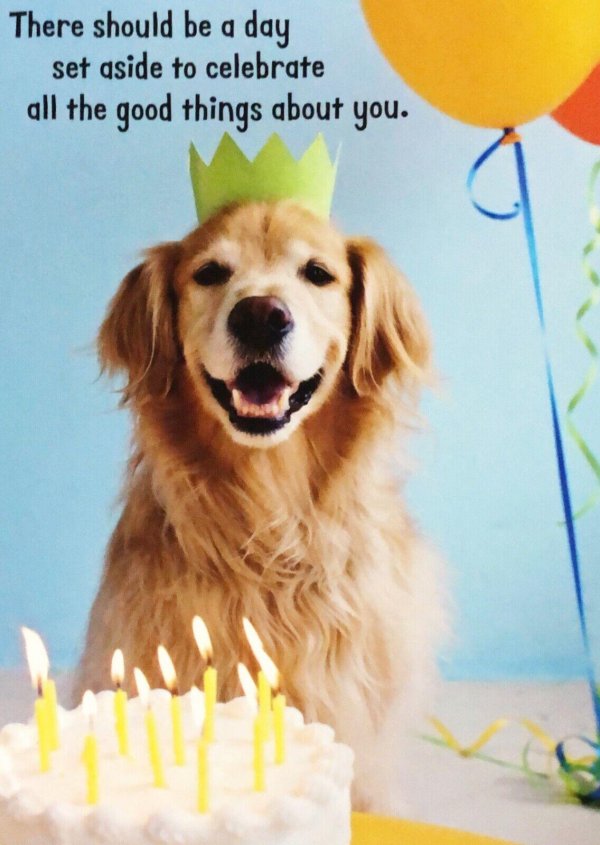 день рождения собаки поздравление