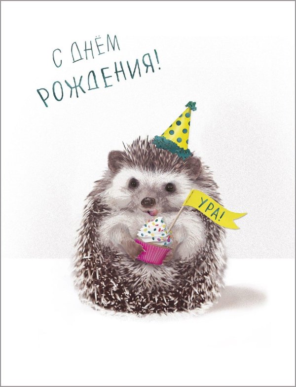 ежик с днем рождения