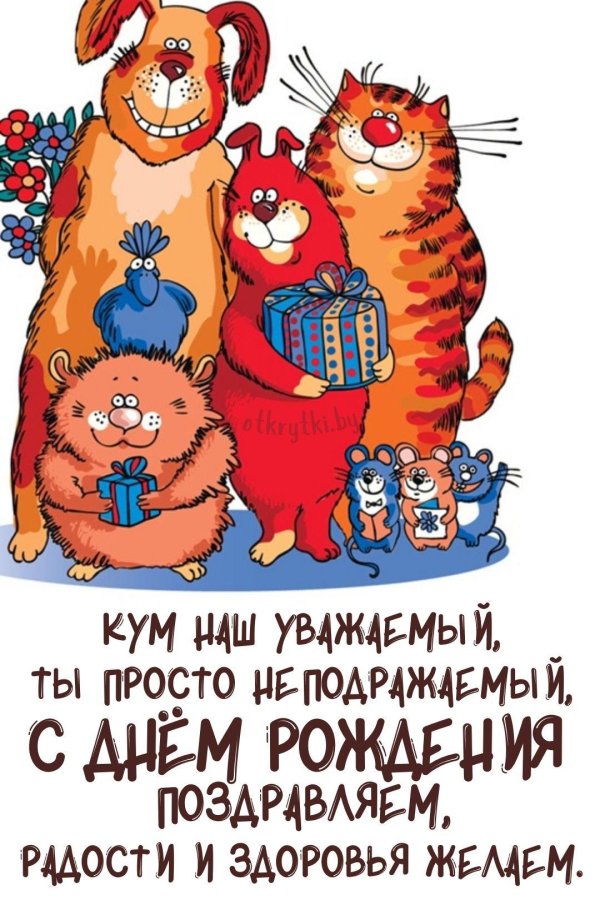 кошки поздравляют с днем рождения