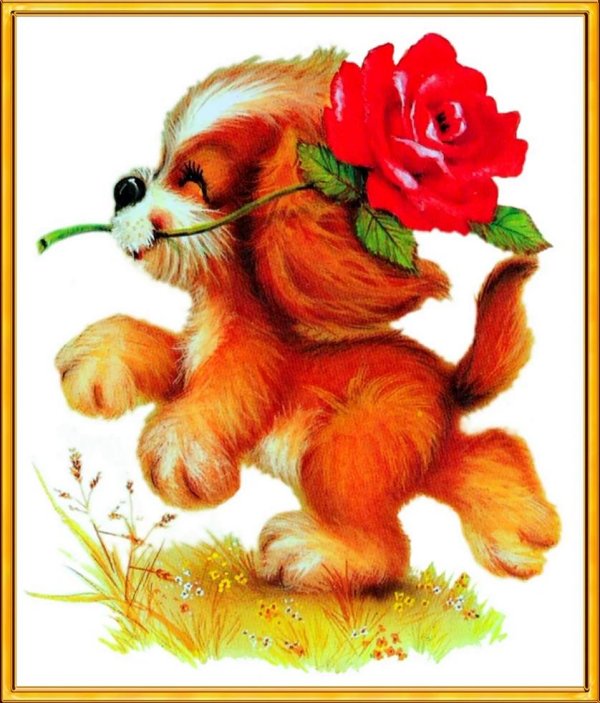 цветы собачки