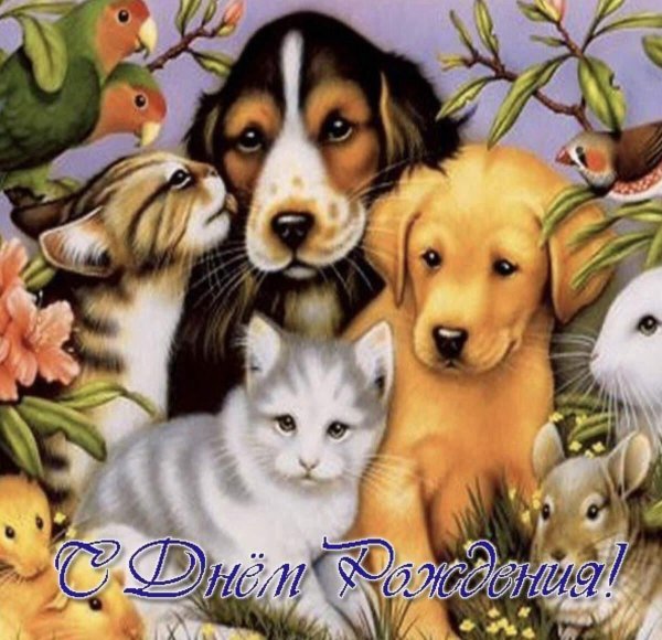 открытки со зверюшками