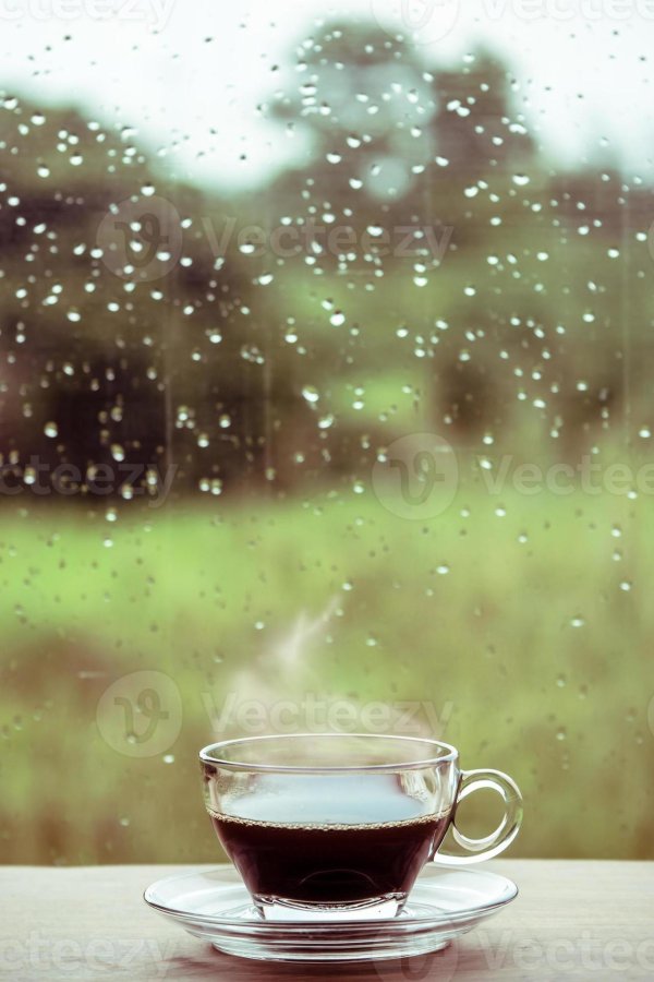 дождливого утра